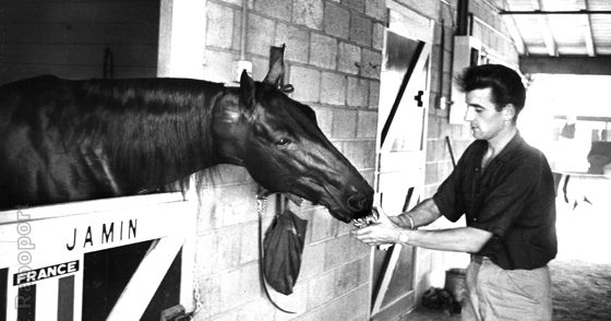 Photograph for The French Trotting Horse That Ate Artichokes