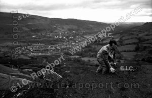 Photograph for Nightmares of a Disaster, Part 1